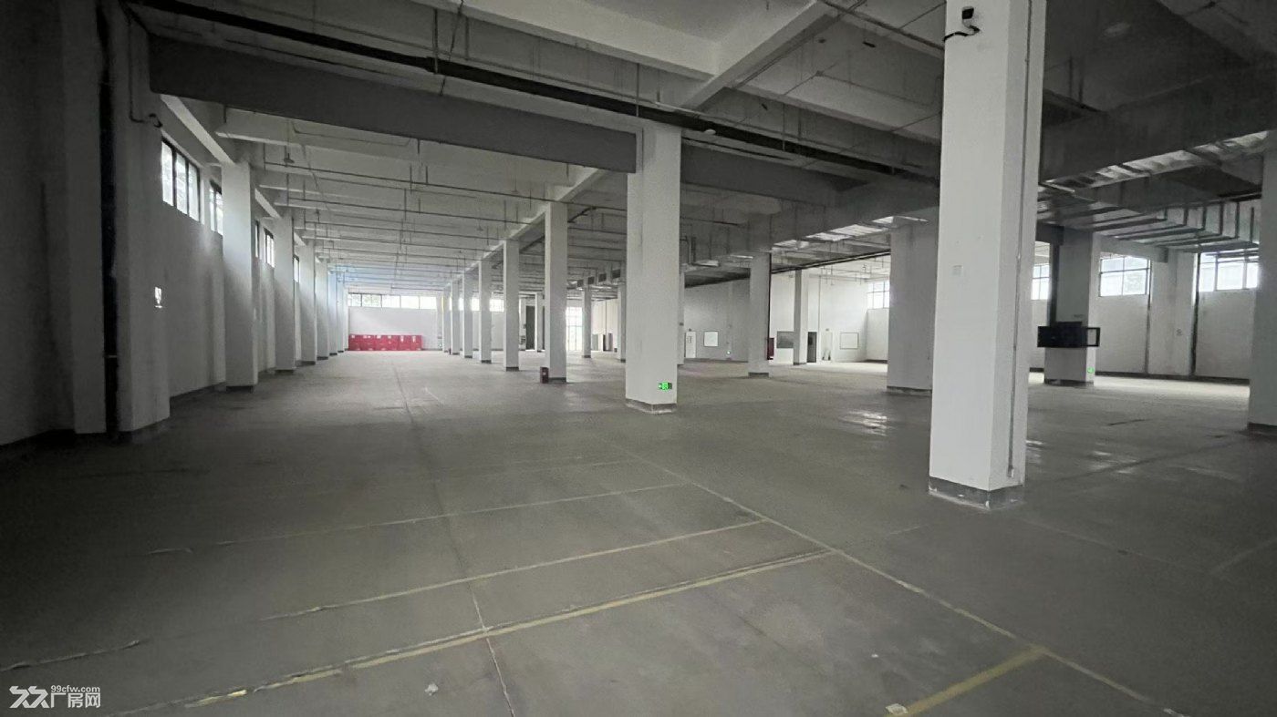 鸠江区经开区凤鸣湖北路1.5万平高端工业厂房出租出售(可拆分) - 3