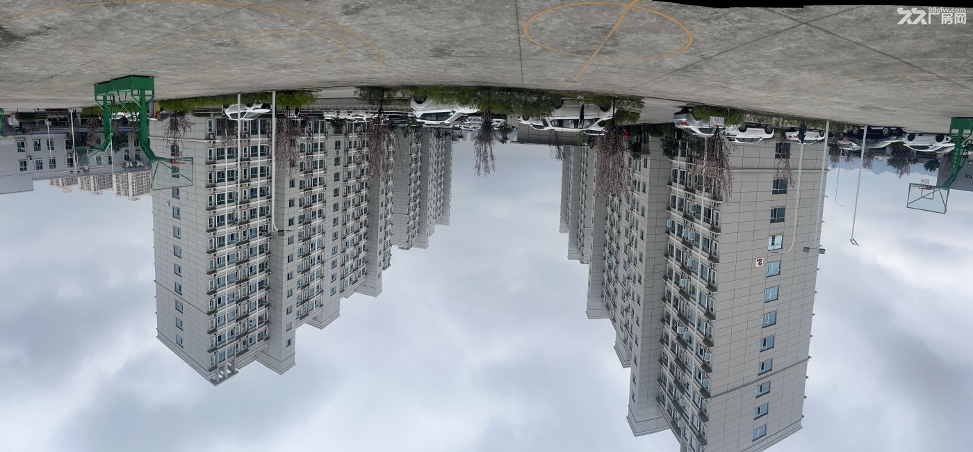 优质标准园区厂房,价格实惠,所见即所得 - 5