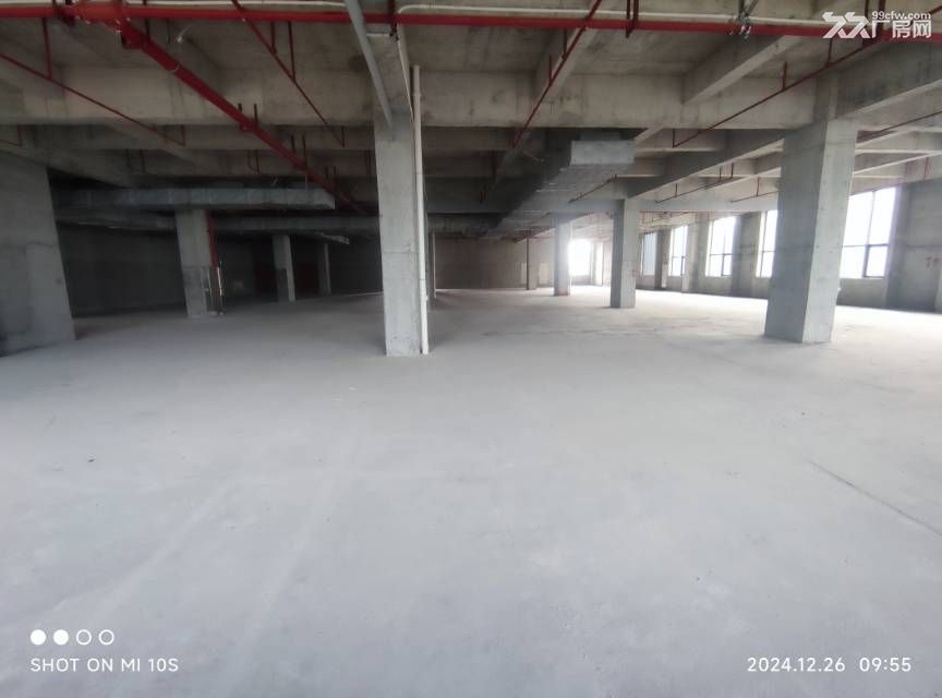 高新区新园区 独栋厂房招租可售 已出证 可按揭 - 6