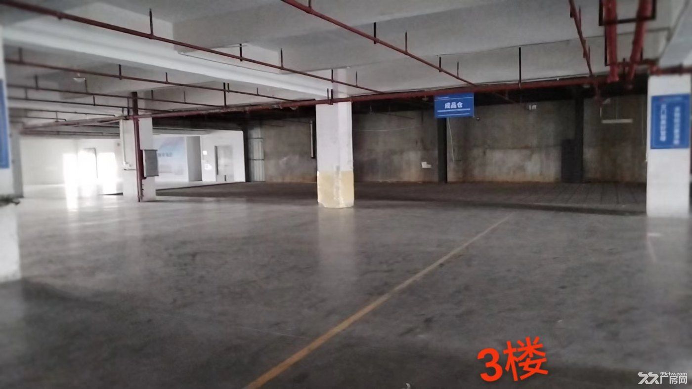 现有800-10000方自家厂房出租 - 5