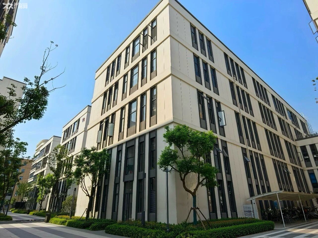 紫蓬镇800-8000方独栋框架厂房(可定制) - 2