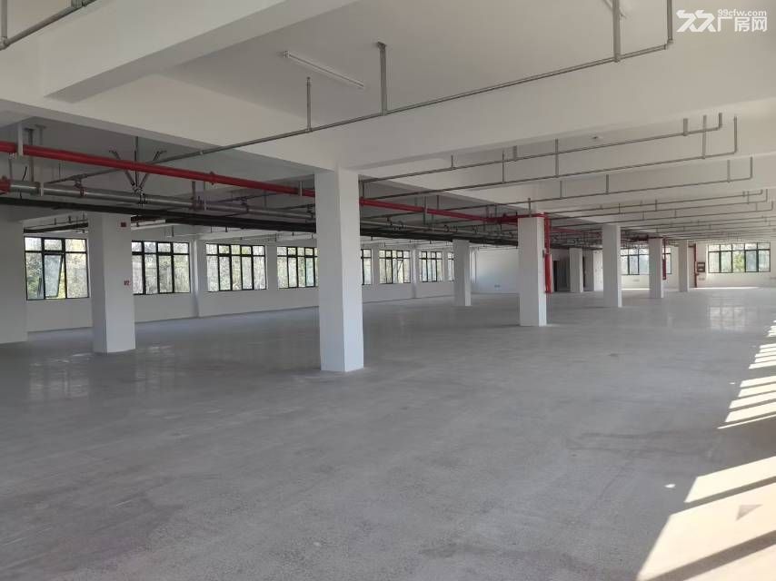 新站区标准厂房独门独院2000平可分租 - 4