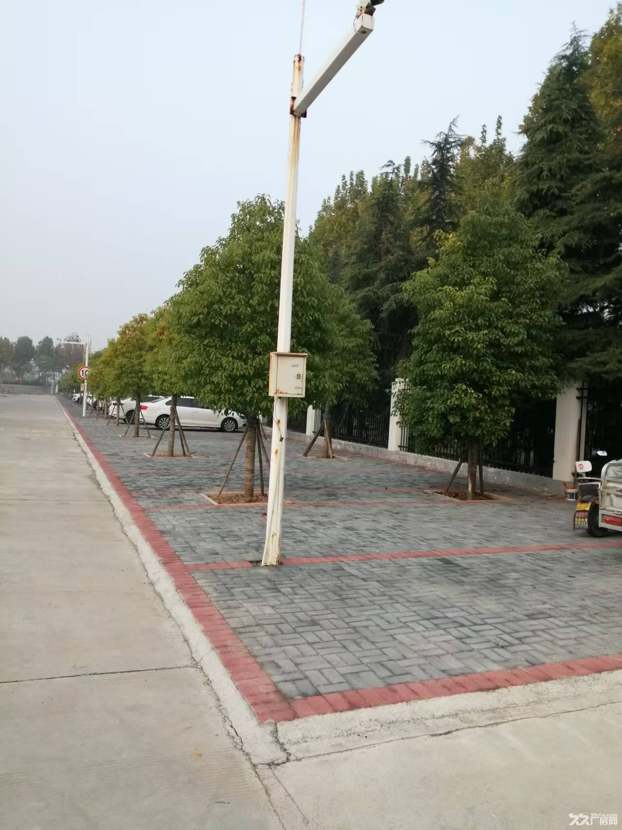 办公、厂房超大空地低价招商招租 - 6