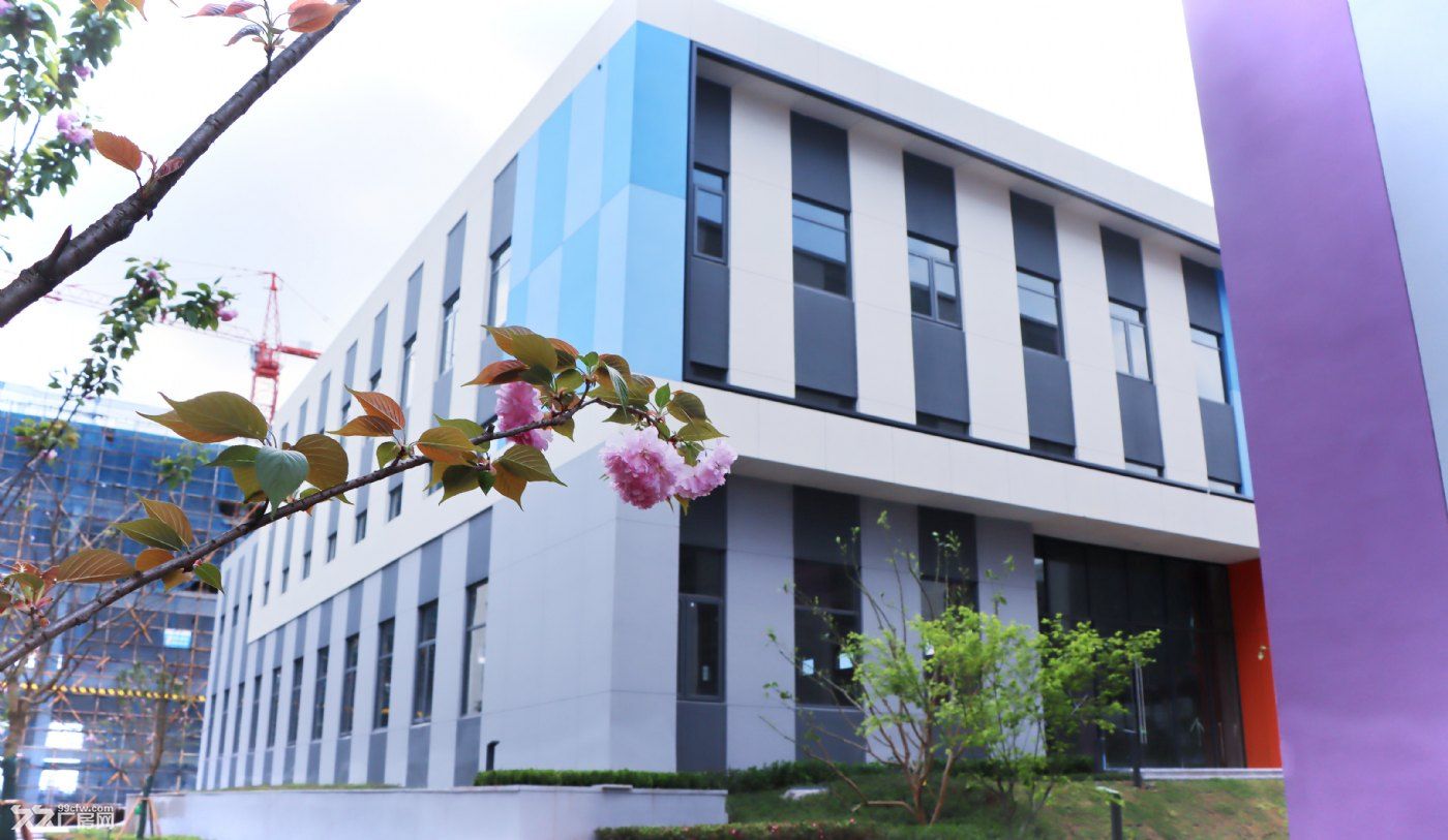 央企背景 上市企业打造高品质厂房出售 绕城边交通便捷 有产权无公摊可按揭10年 - 2