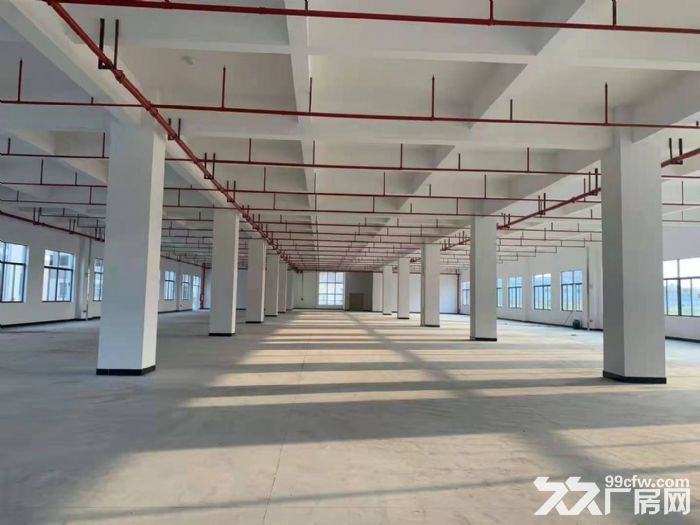 《惠》水口大型工业区原房东标准1楼2000平方厂房出租
