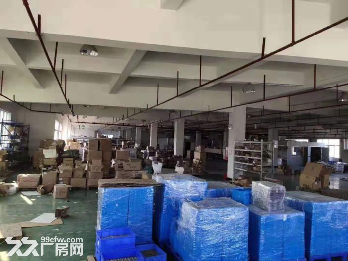 形像好,近深圳 塘厦沙湖工业园内楼上厂房出租 绿色地坪漆 - 2