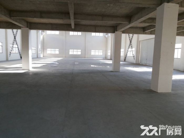 11.湖熟1到4楼7200平米新建独栋标准厂房1楼高8米环境好 - 3