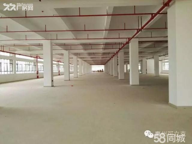 《惠》惠城区水口经典独门独院5000平方厂房出售 - 2