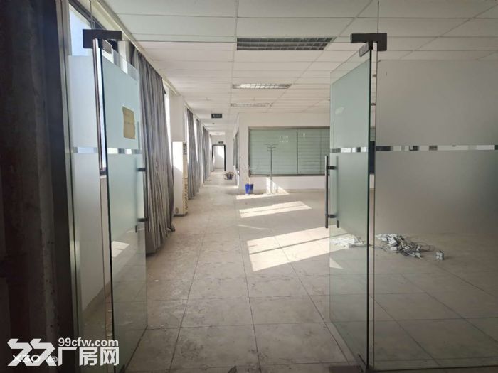 AA湖东独门独院4500平标准厂房 可架行车 精装办公室 - 4