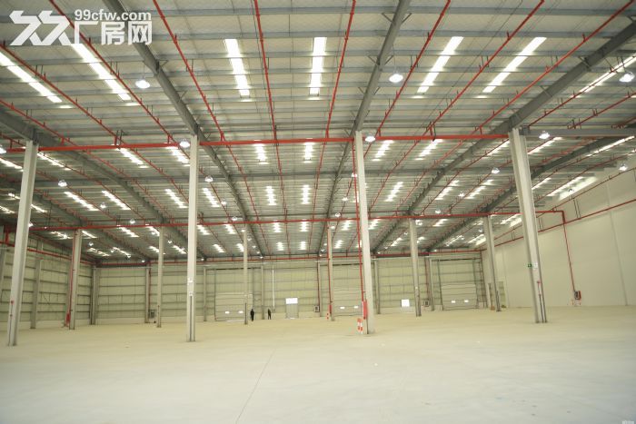 新建独门独院双边卸货平台7万平方高10米 - 2