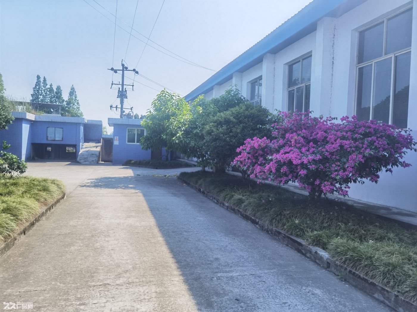 稀缺独栋产权厂房出售｜带住宿+精装办公室+花园式环境，企业自用优选 - 3