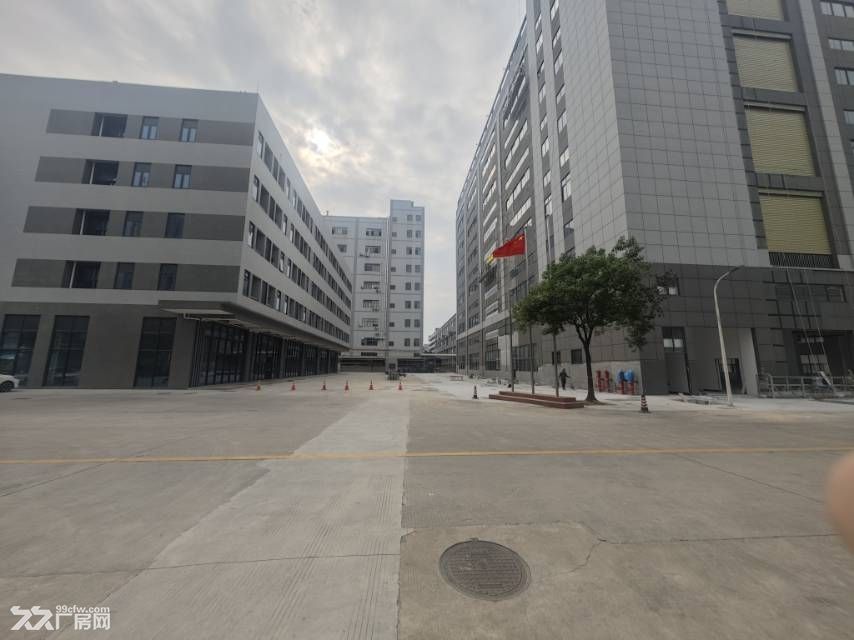 寮步镇东部快线附近全新标准独栋厂房20000平出租