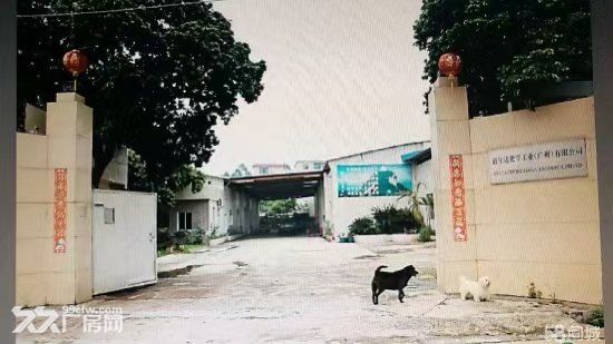 广州从化 化工厂房出租 多厂房250-1000平 有化工制造资质 证件齐全 - 2
