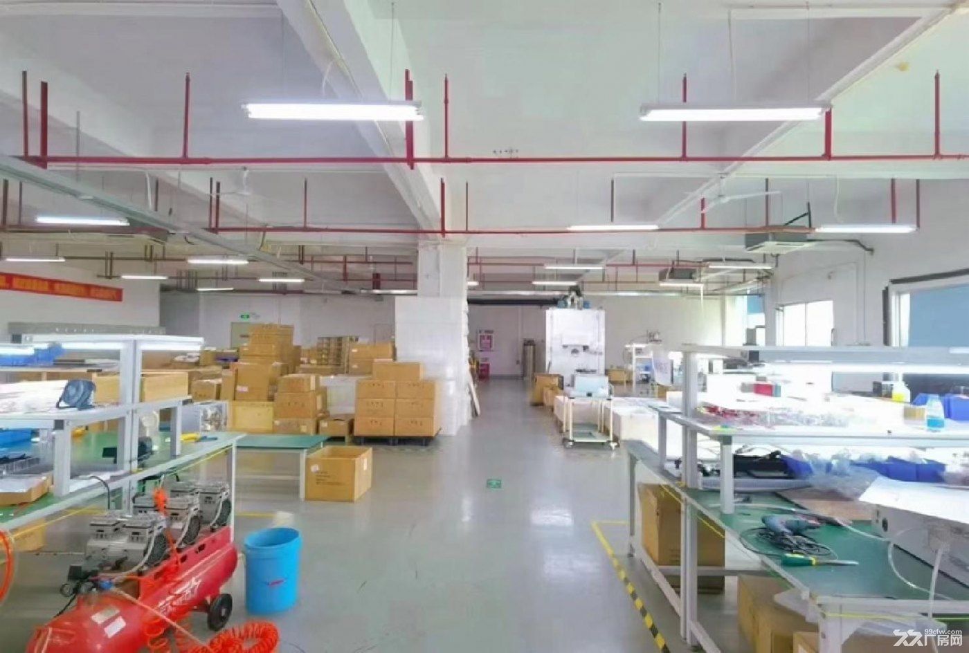 深圳石岩塘头新出楼上2500平厂房出租，带装修 - 6