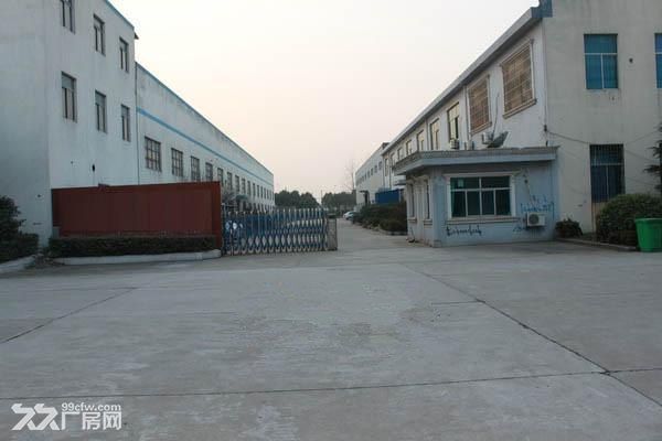 惠城区三栋惠南大道边单一层9米高钢构5300平方出租 - 8