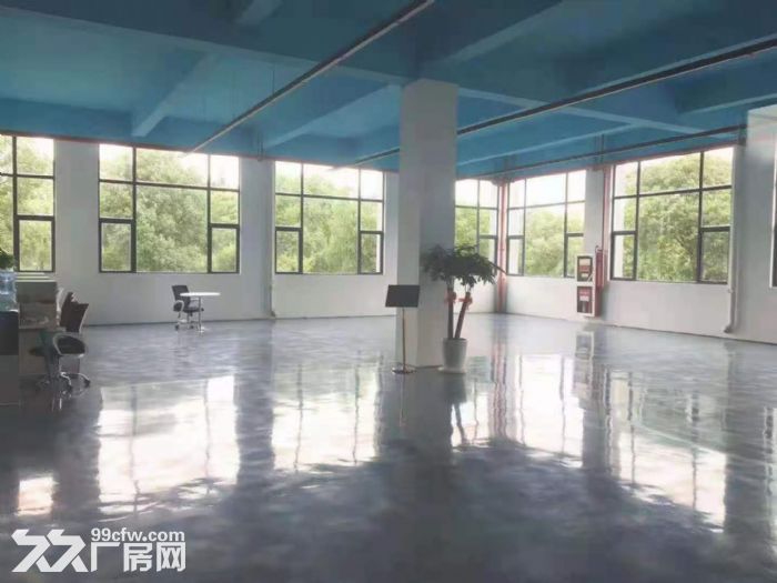 园区湖东一楼750平标准厂房  展厅