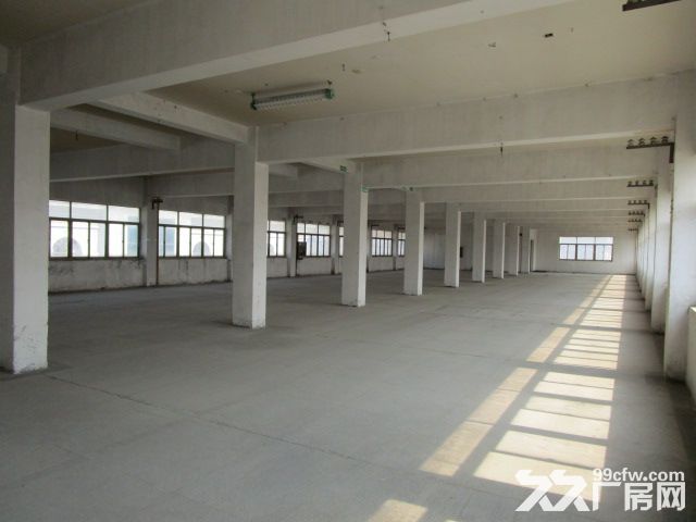 西兴好房招租 仓储 淘宝办公 - 4
