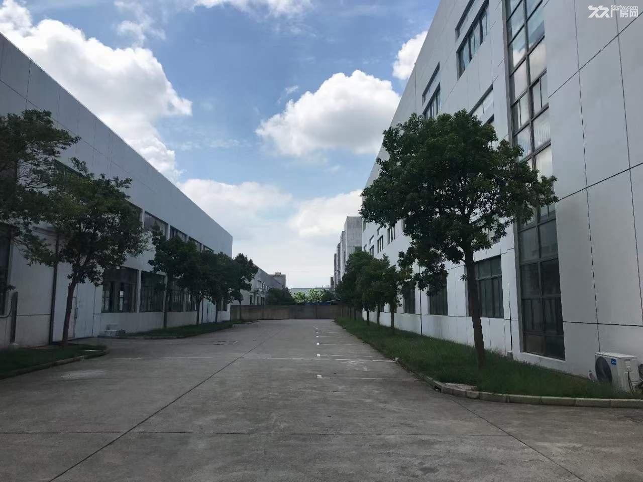 上海浦东金桥,国企独栋8千1万平,层均2千至4千平,可分层,7至6米高,可环评