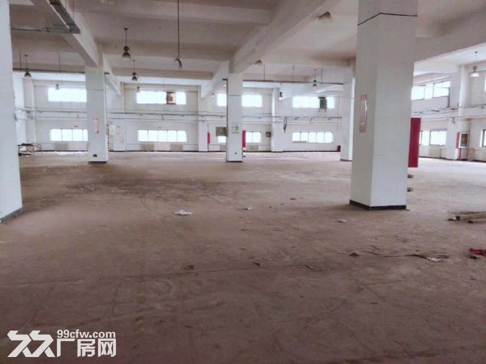南五环高度7米面积6000可分租价格便宜有坡道直接到二楼 - 2