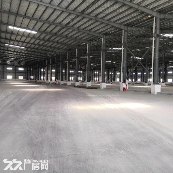 出租台山四九长龙独院单一层10米厂房仓库10000平方空地大 - 8