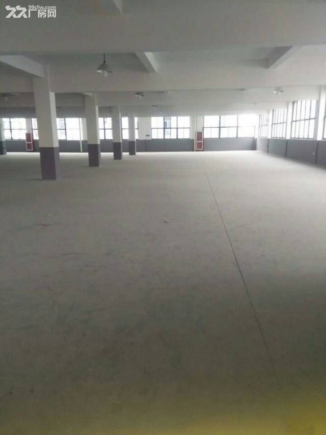 象山茅洋高速附近土地5亩建筑2500平，空地大，形象好 - 4