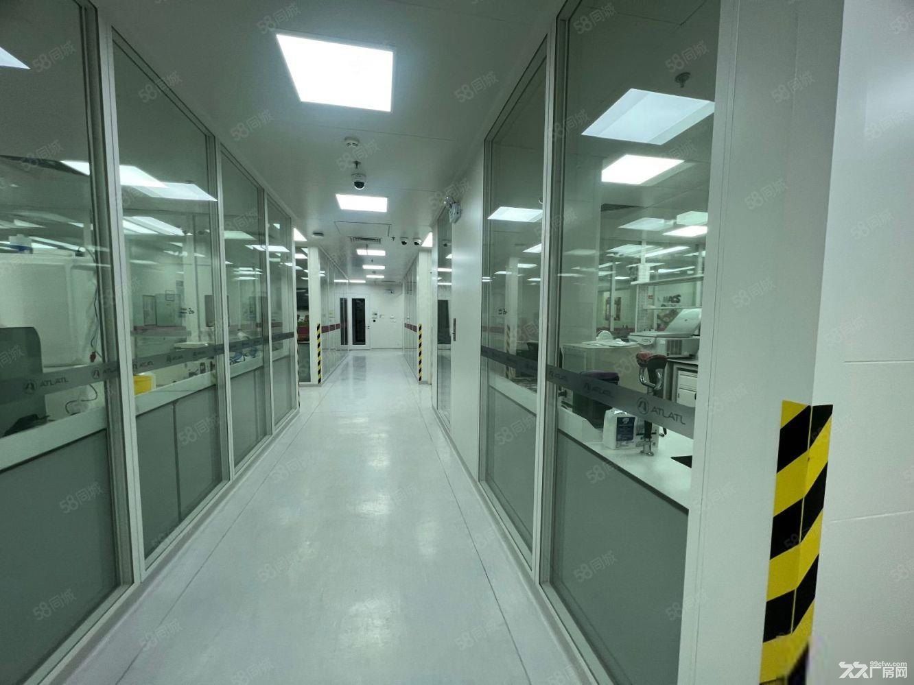 精装P1P2细胞房 ,PCR实验分子间 包环评有补贴带办公室 - 2