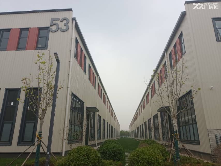 沧州东高铁站产业园区单层轻钢厂房出售 - 2