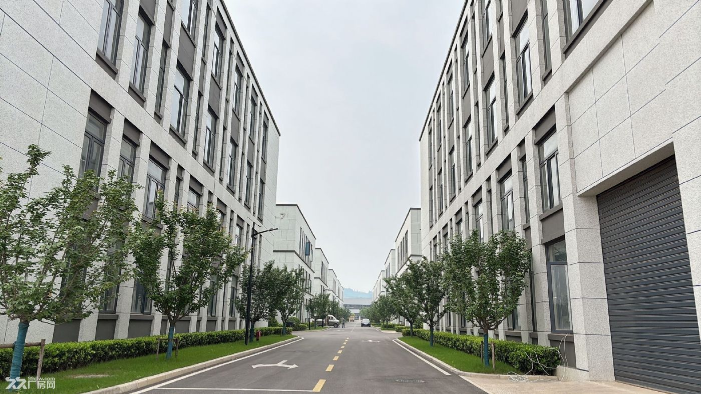 蔡甸单层钢构厂房出售,层高12米,50年产权,首付2成 - 5