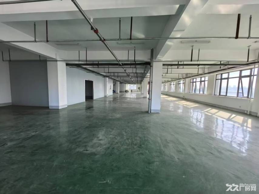 新站区标准厂房独门独院2000平可分租 - 5