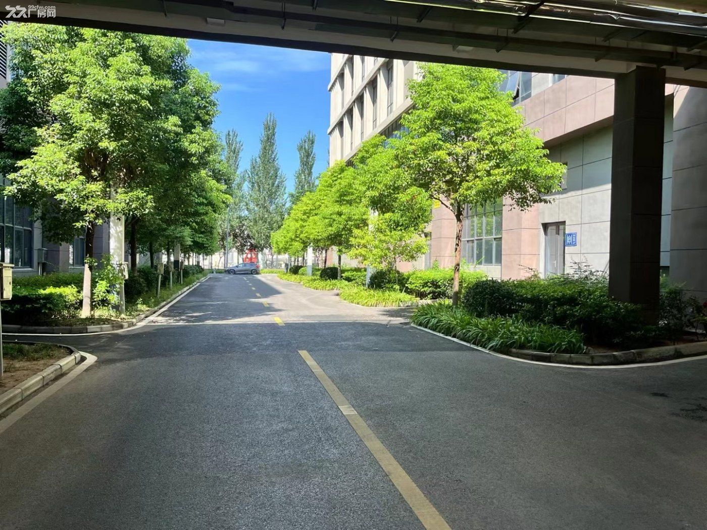 高新区花园式工业厂房招租啦!与国企为邻! - 4