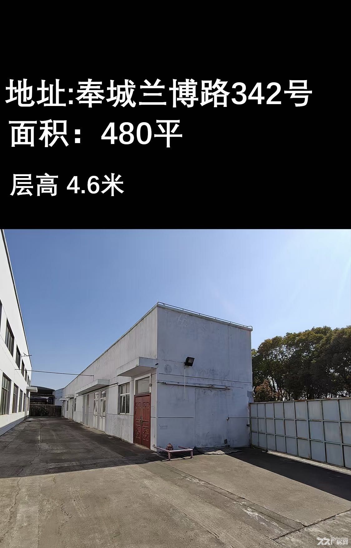 标准厂房,房东直租,价优! - 2