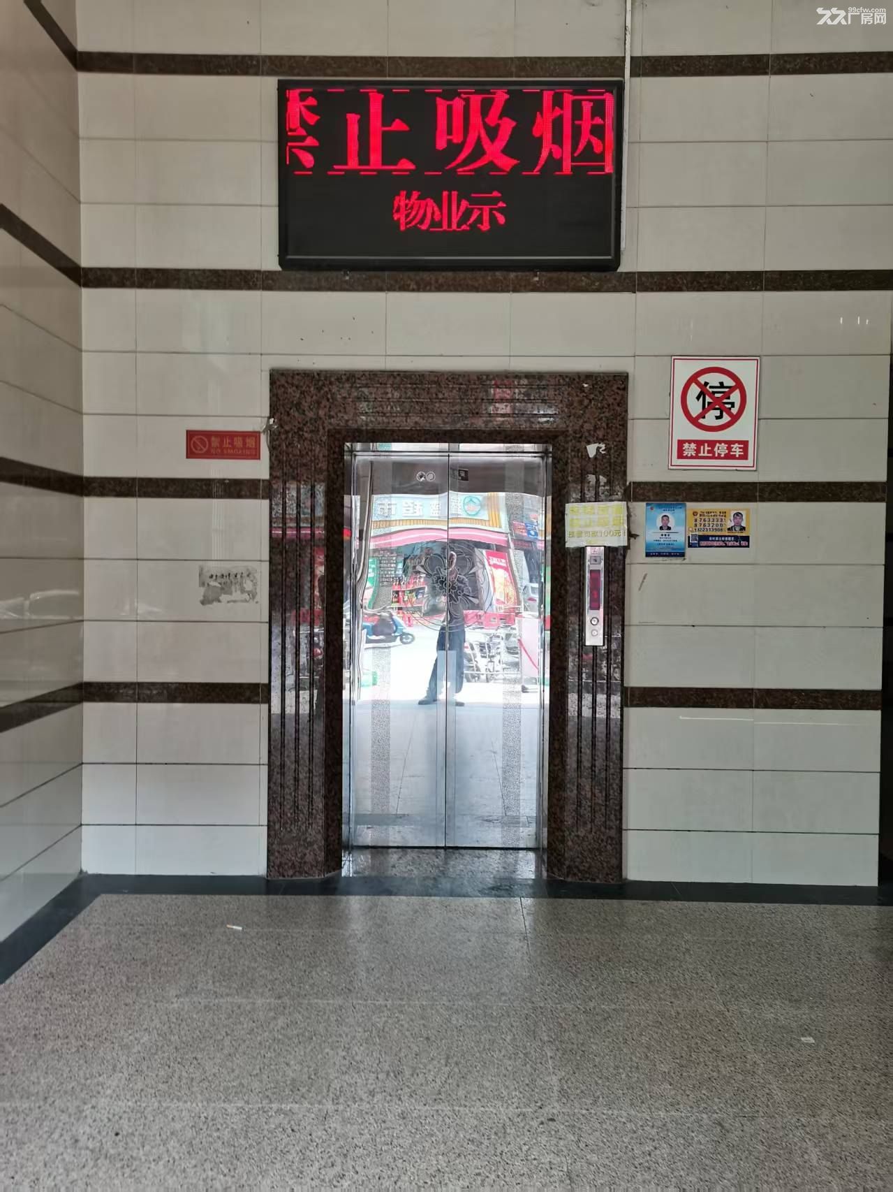 番禺南村优质厂房出租 - 3