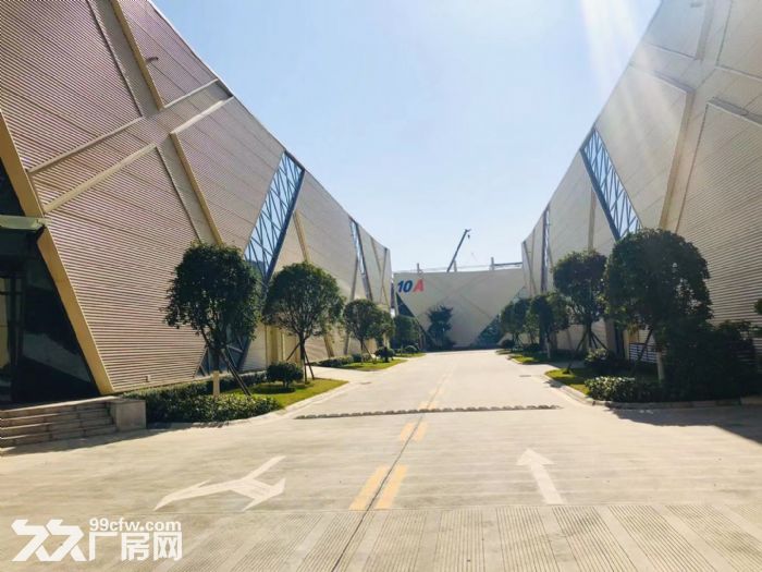 年底冲量,出售天府新区周边科技项目,独栋平层,1000起 - 4