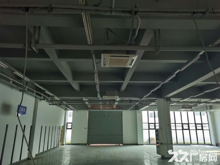 AA苏虹东路一楼890平标准厂房  环氧地坪  精装办公室 - 4