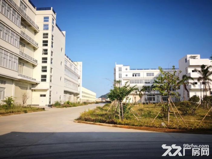 漳州全新标准厂房及办公楼出租 - 3