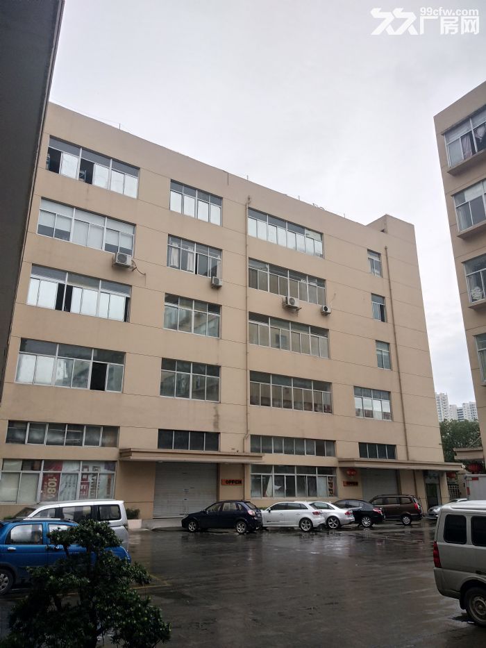 炬光园4楼550平方,适合轻工,已腾空