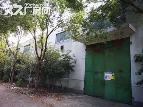 车墩镇中心1200平米单层高9米厂房出租 - 6