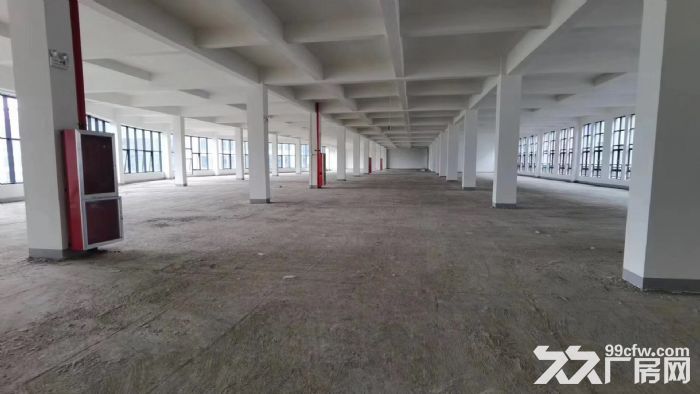 滨江独幢厂房出租,层高有11米,适合各类行业:汽车展厅,研发中心,高端装备 - 4