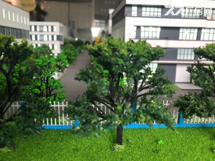 开发商直售50年产权标准厂房2380平 - 3