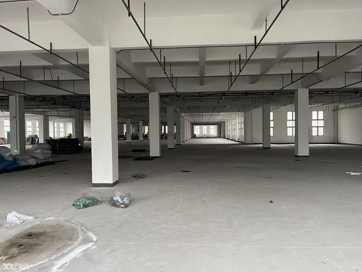 巴南区南彭公路物流基地标准食品厂房出租 - 4
