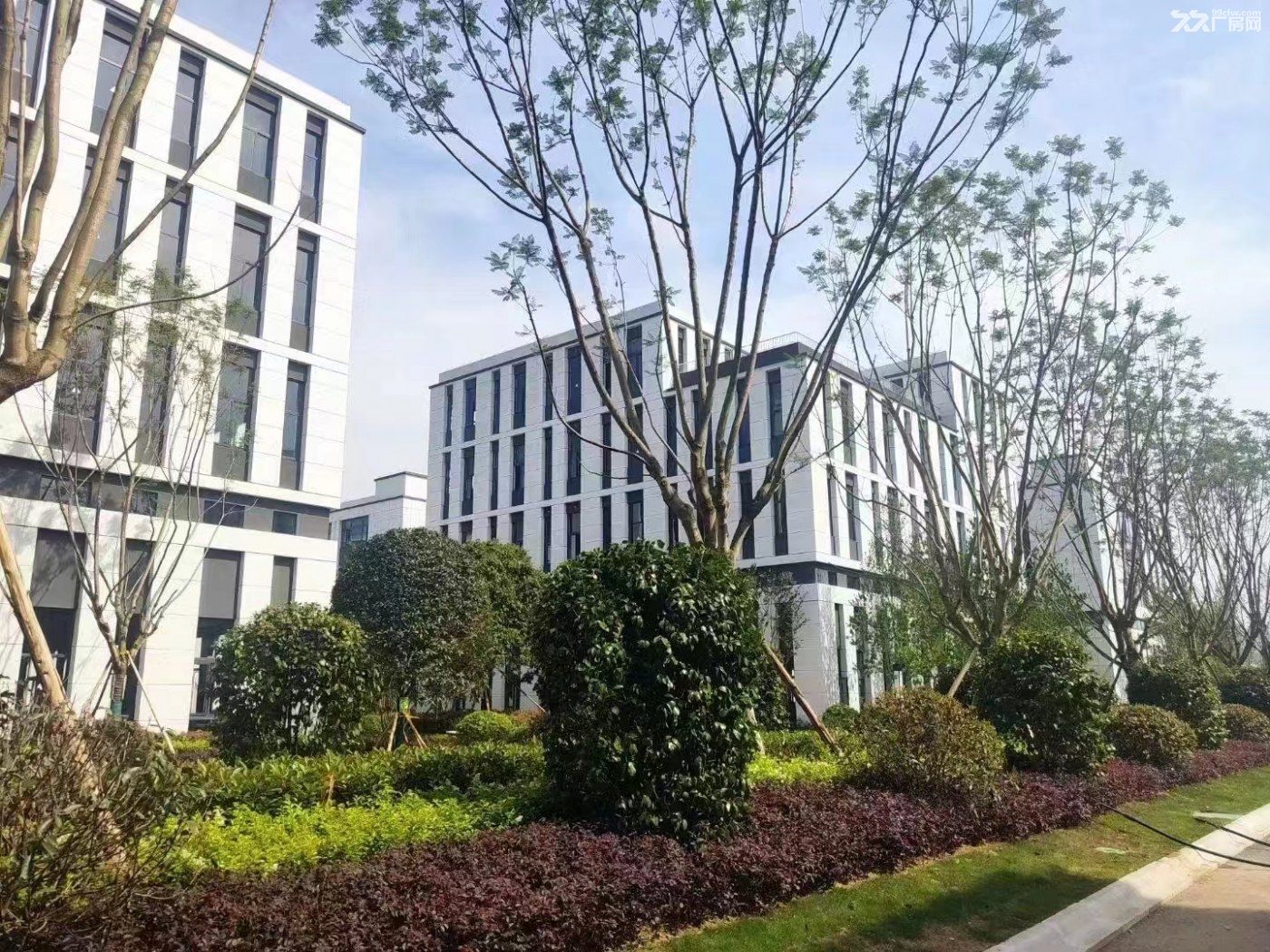 单层小面积 高层高 近地铁近主城 方正实用 欢迎实地考察 - 5