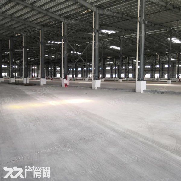 出租台山四九长龙独院单一层10米厂房仓库10000平方空地大 - 6