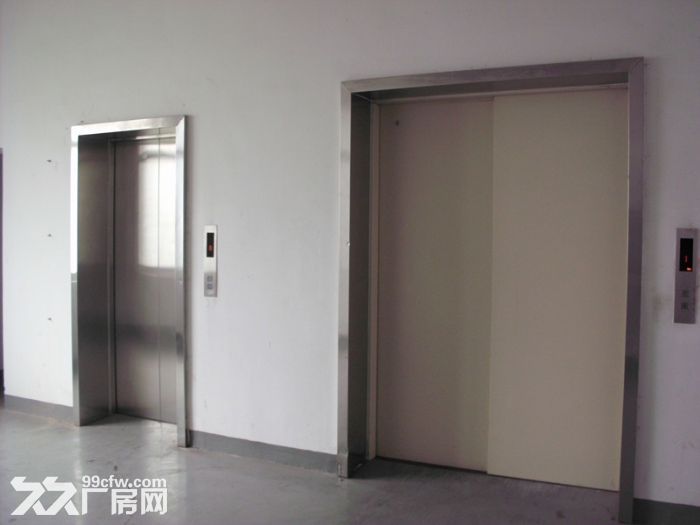 唐镇800平电商贸易组装测试电子轻加工厂房仓库出租 - 3