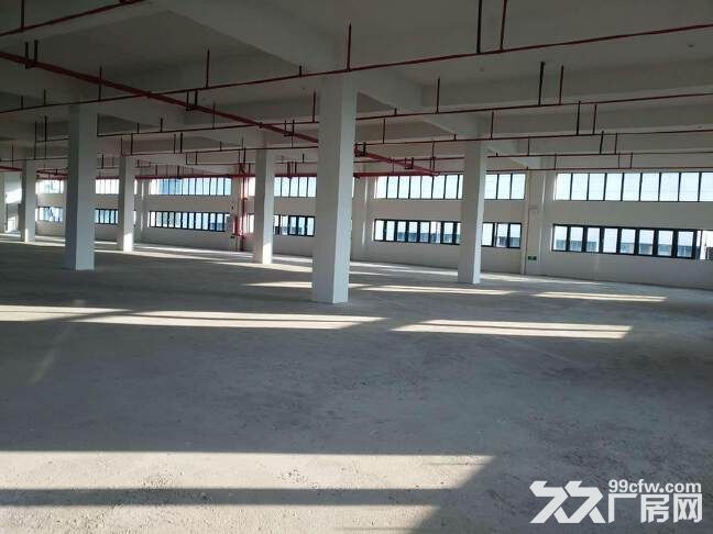 花都秀全工业园独栋标准厂房出租，4500平，可分租，价格便宜 - 2