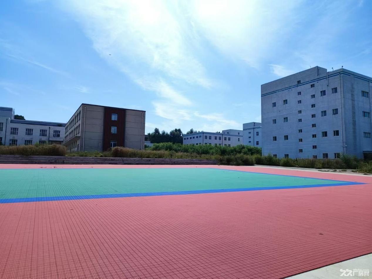 哈药集团中药公司三厂区出租 - 2