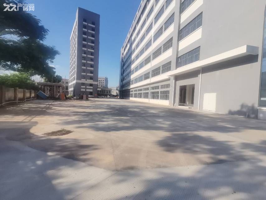 寮步新出原房东新建重工业全新独院价格超低 - 4