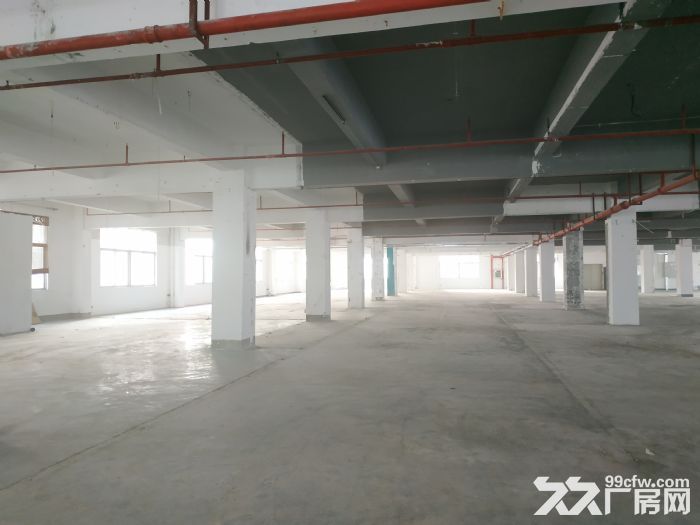 西丽大学城地铁口 创新高新园一楼370平厂房办公室直租 - 7