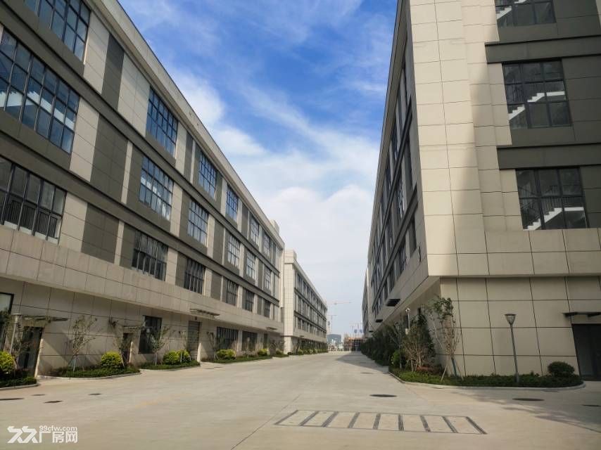 招宝山独栋厂房国企直租11米高大车可进 - 2