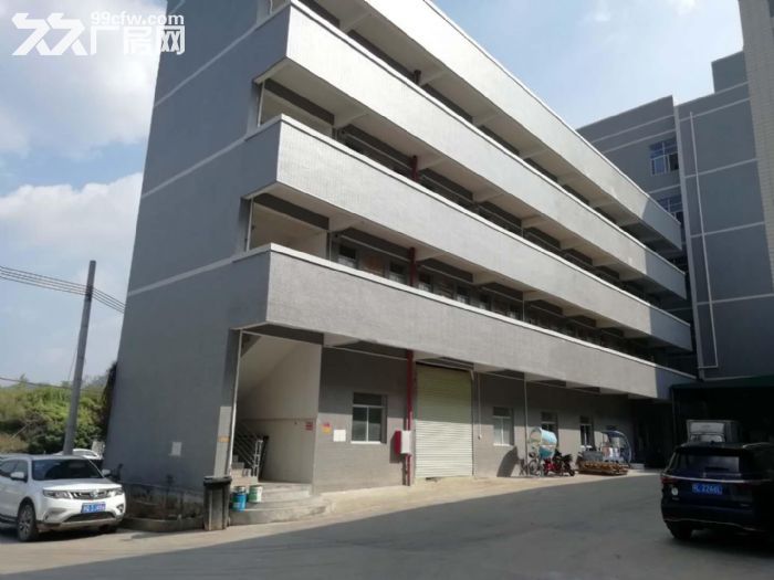 惠阳三和原房东红本工业园标准厂房一楼4175平,高6米,可办环评 - 3