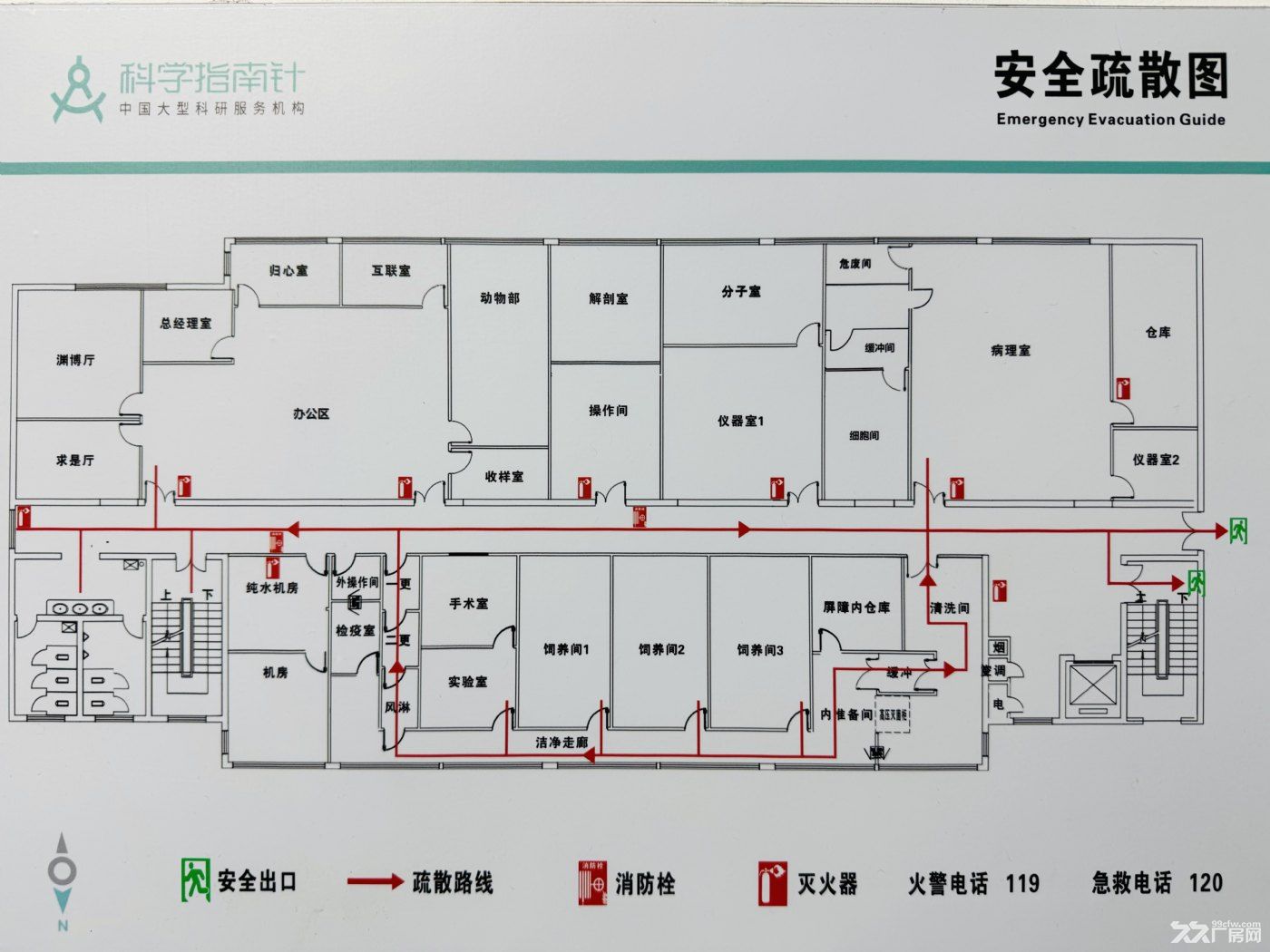 杭州生物医药科技园，动物房出租，GMP标准，带设备，精装修，有环评 - 5